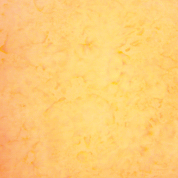 Bali Watercolors - Tutti Frutti