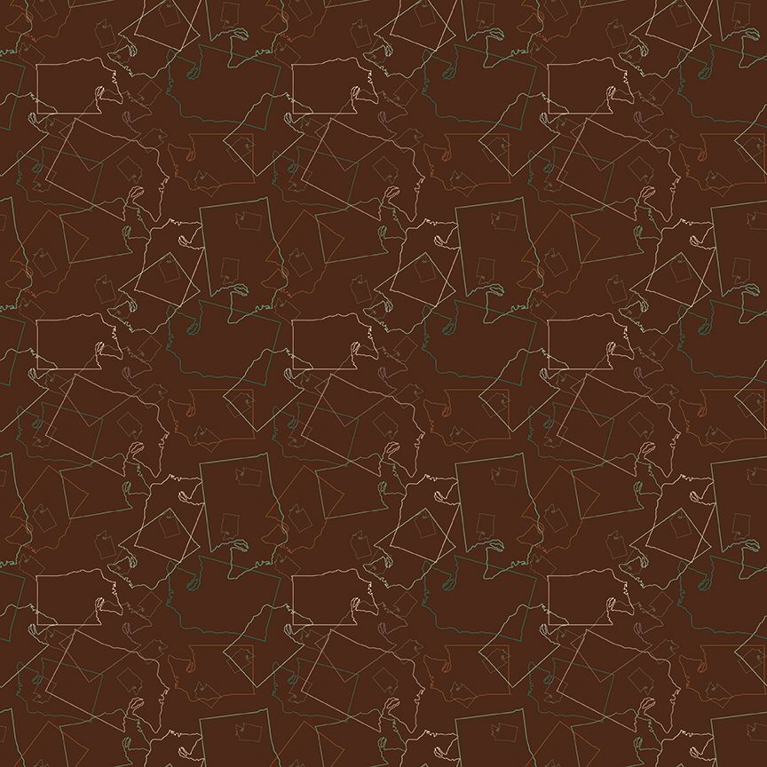 2025 APNSH - State Outline - Brown