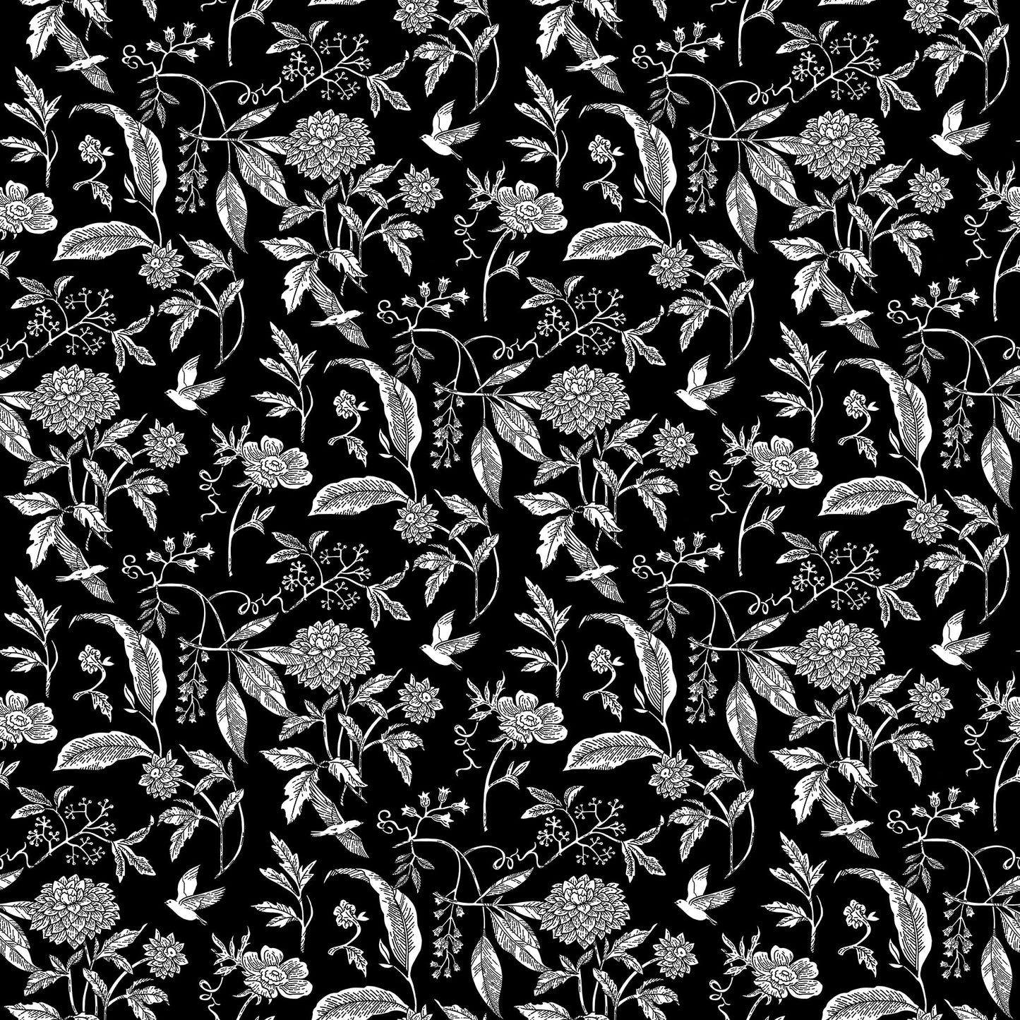 Natures Sketchbook - Chrysanthemum - Black/White