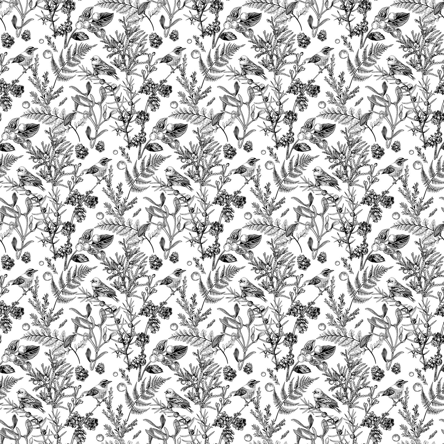 Natures Sketchbook - Meadowland - White/Black