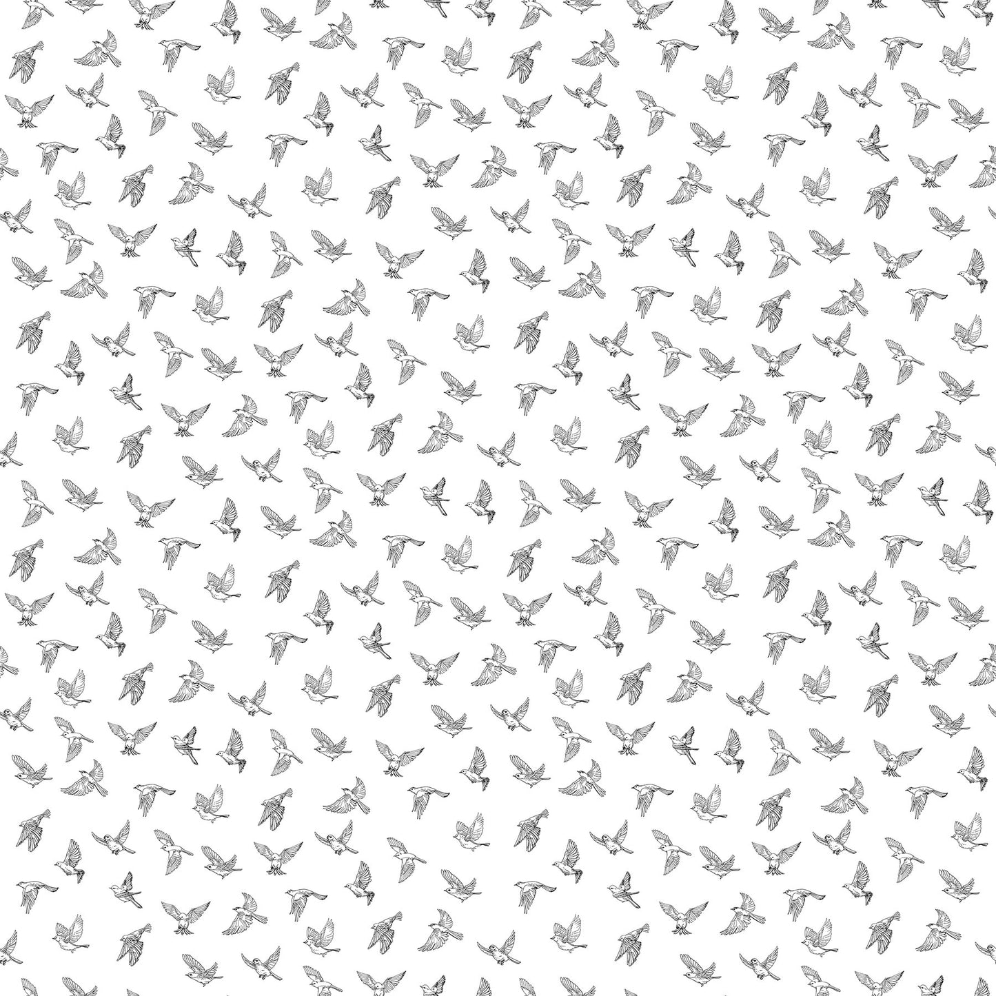 Natures Sketchbook - Birds in Flight - White/Black