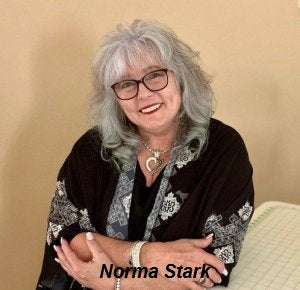 T-Shirt Quilt with Norma Stark