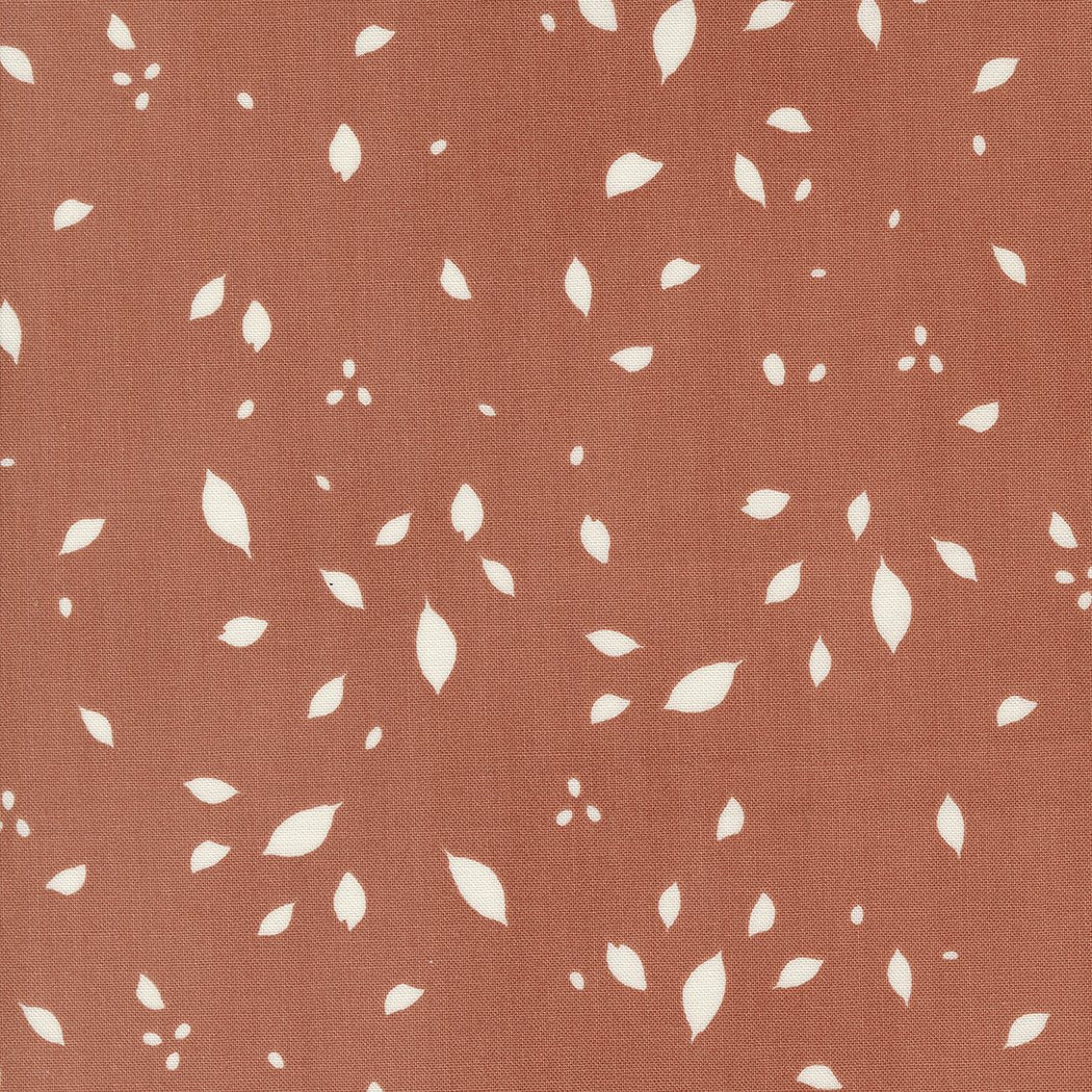 Melrose - Highland - Sunset