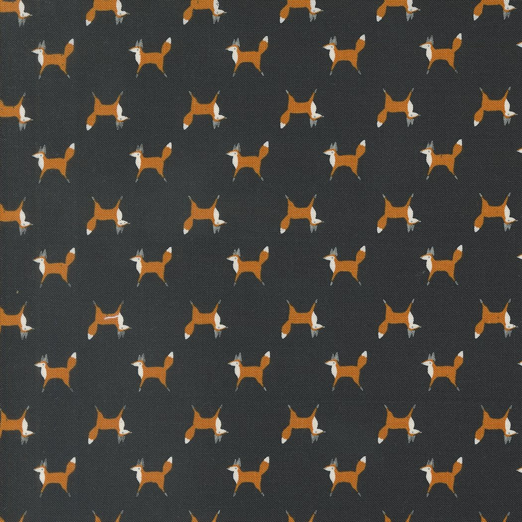 Woodland Wonder - Fox Trot - Midnight