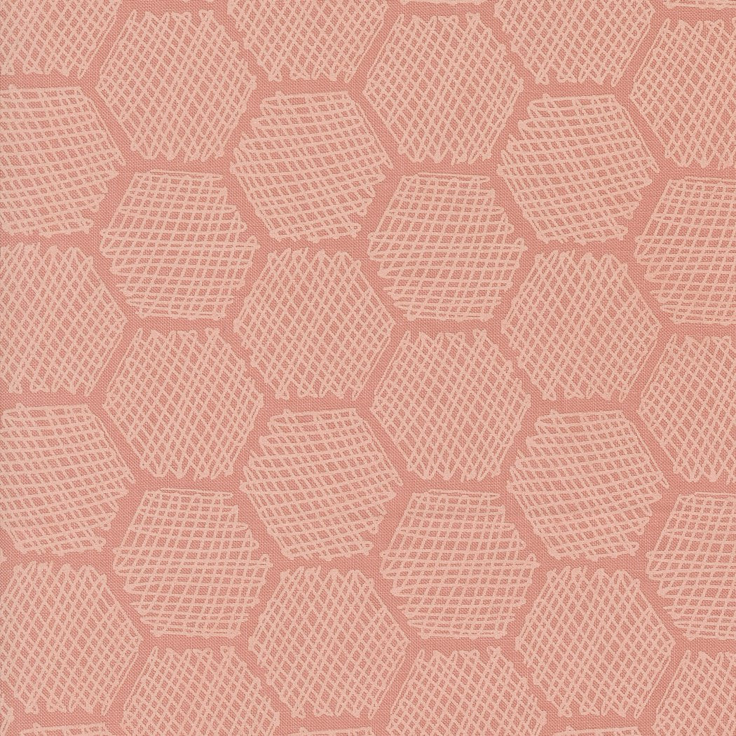Bee Garden - Honeycomb - Carnation