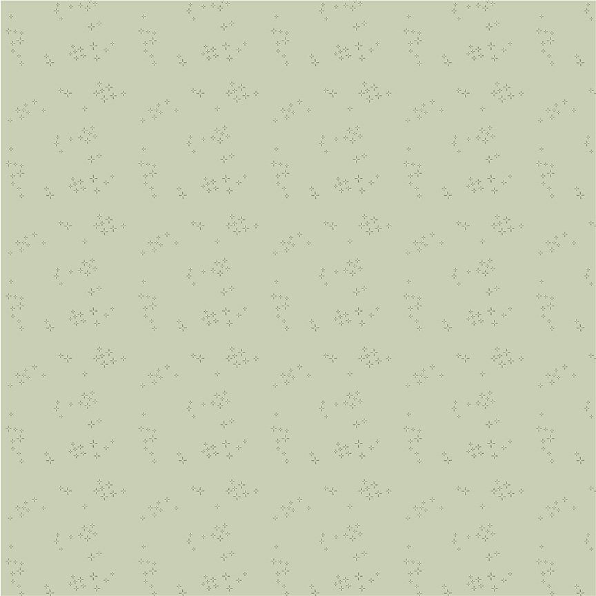 Nature Study 2.0 - Astra - Mint