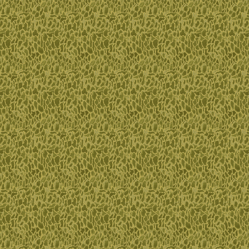 Forest Fruits - Morel - Moss