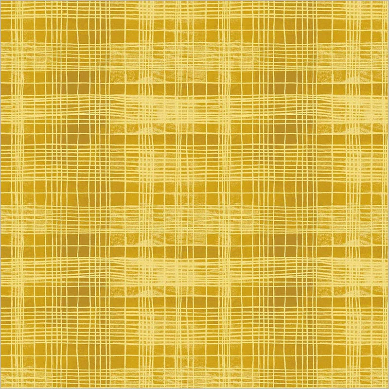 The Plaid One - String Theory Plaid - Delicata