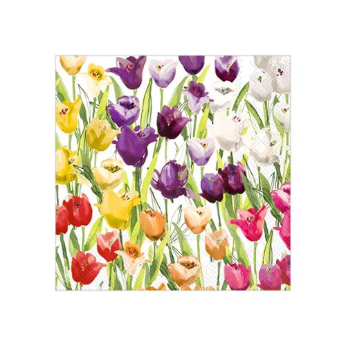 Cocktail Napkin - Tulipfield