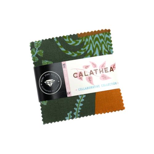 Calathea - Mini Charm
