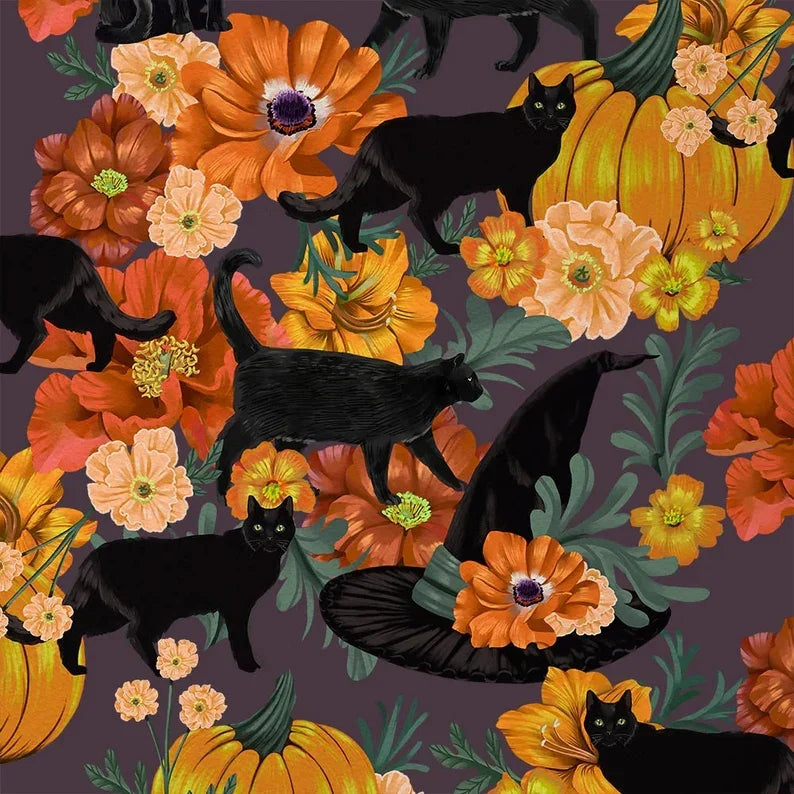 Black Cat Witch Hat - Harvest