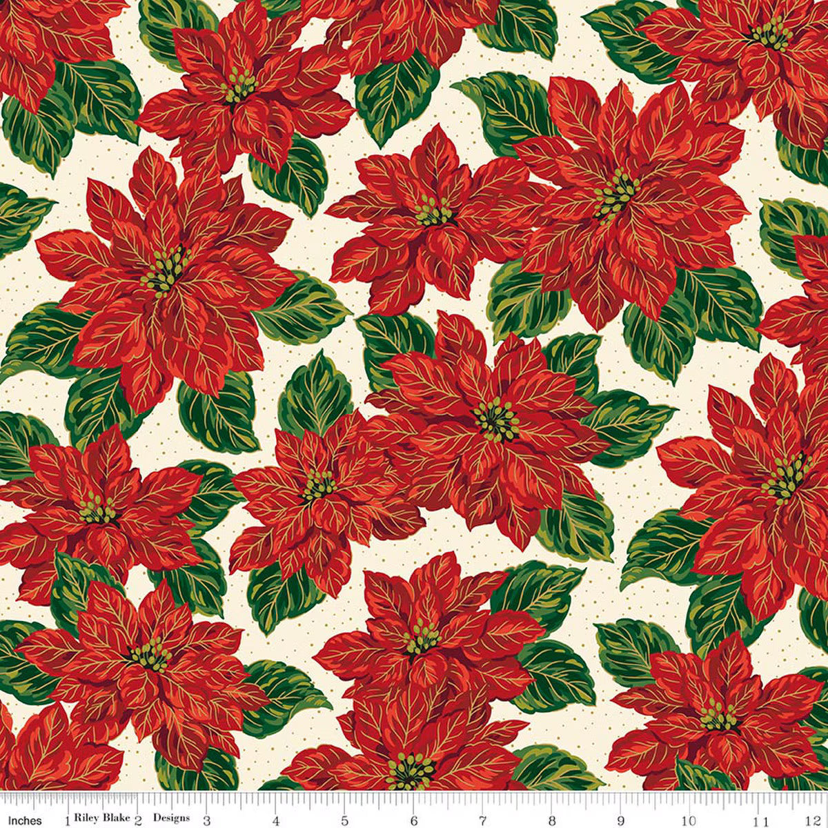 Poinsettias at Christmas - Main - Cream Foil