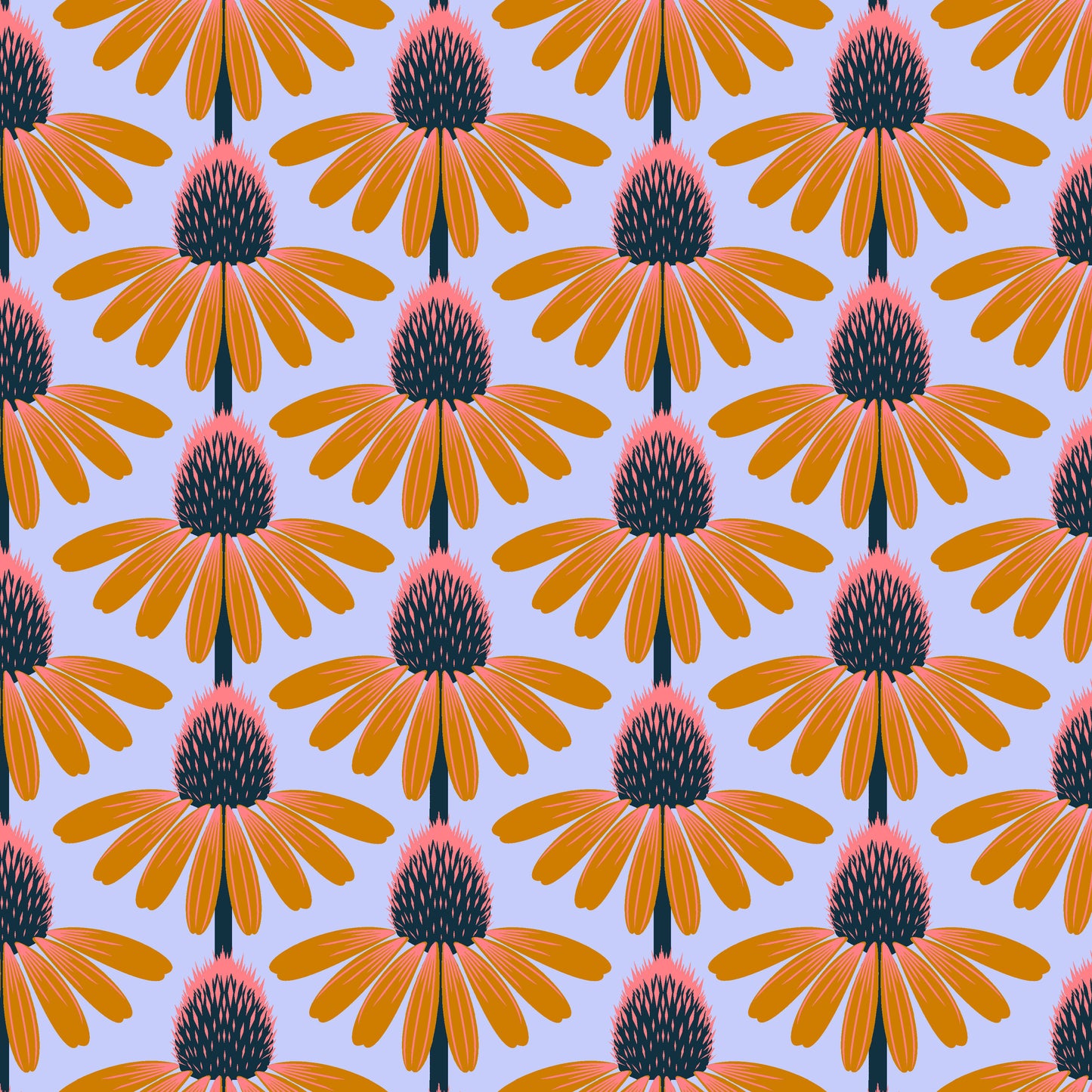 Echinacea - Cotton Lawn - Morning