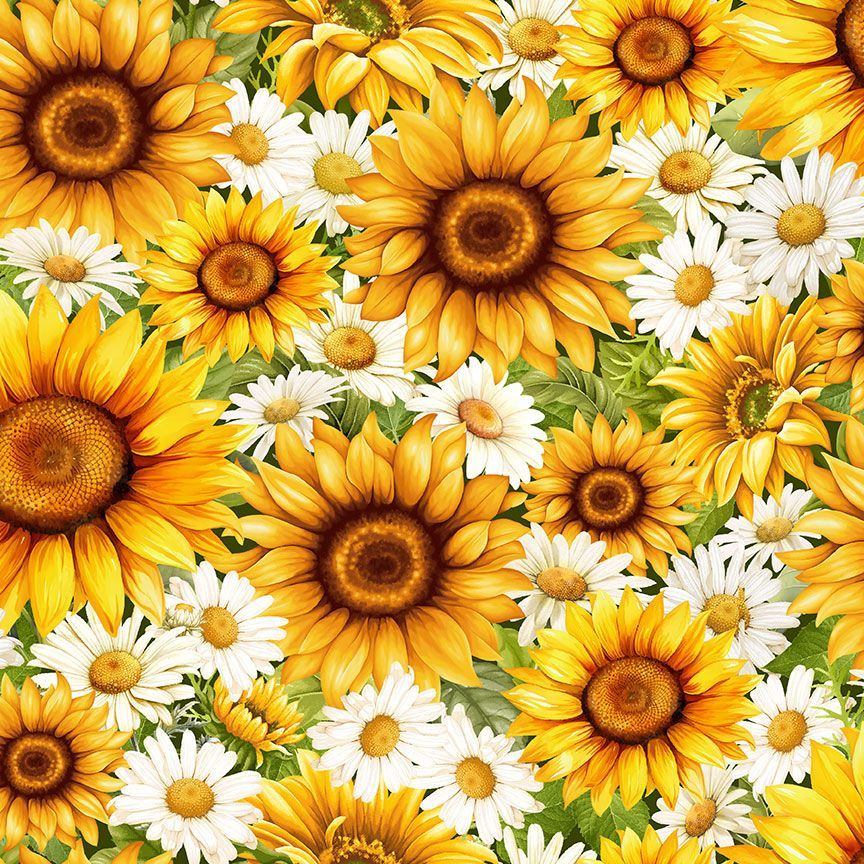 Daisies & Sunflowers packed
