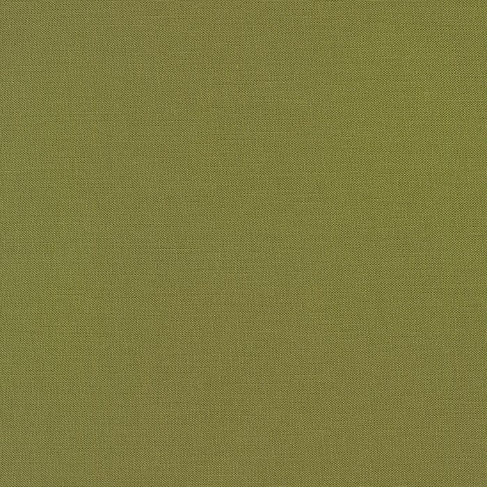 Kona Solid - Ivy