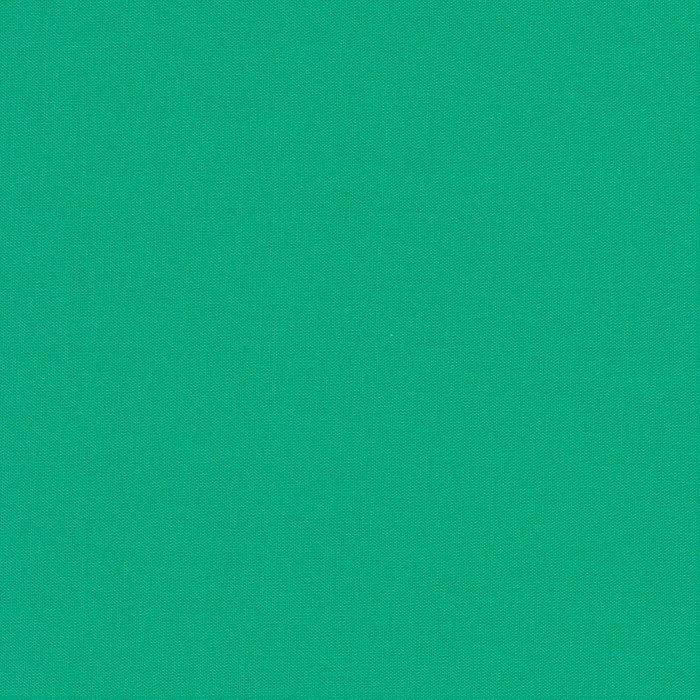 Kona Solid - Kale