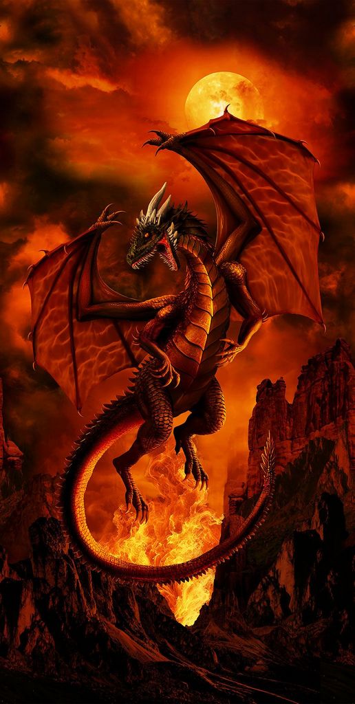 Dragon Fire - Panel
