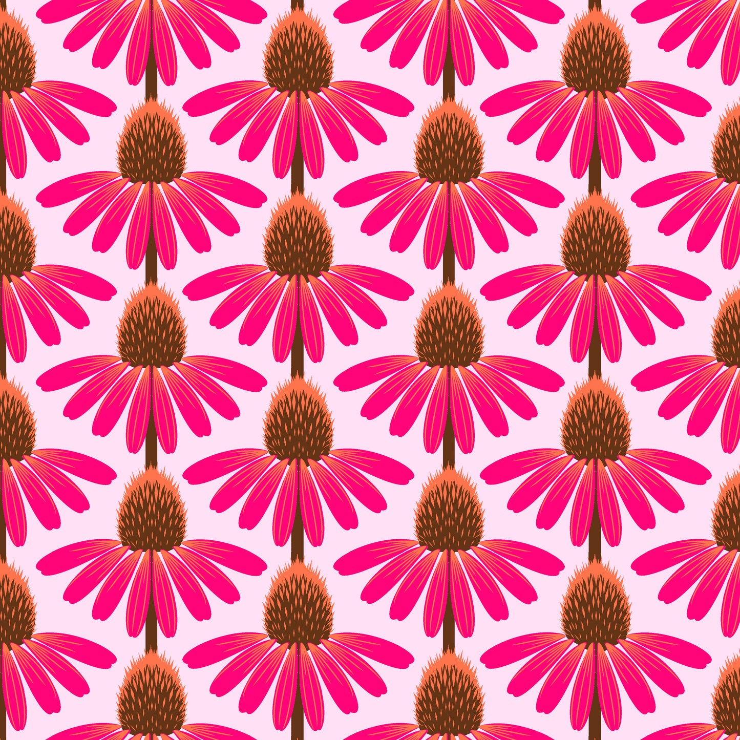 Love Always AM - Echinacea - Maraschino