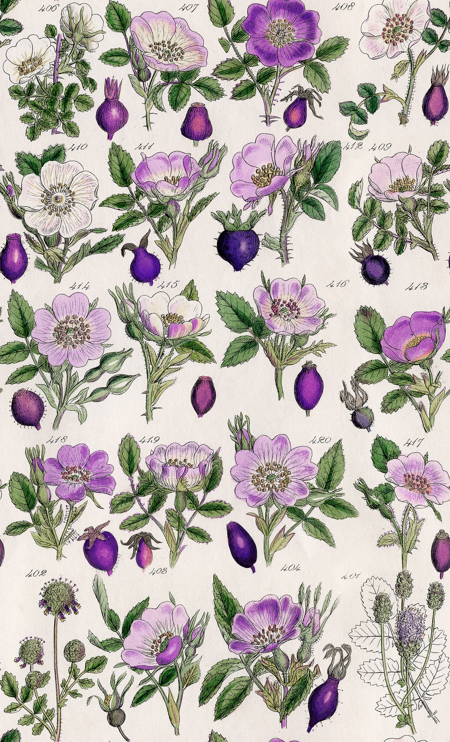 Eclectic Elements - Purple - Botanical