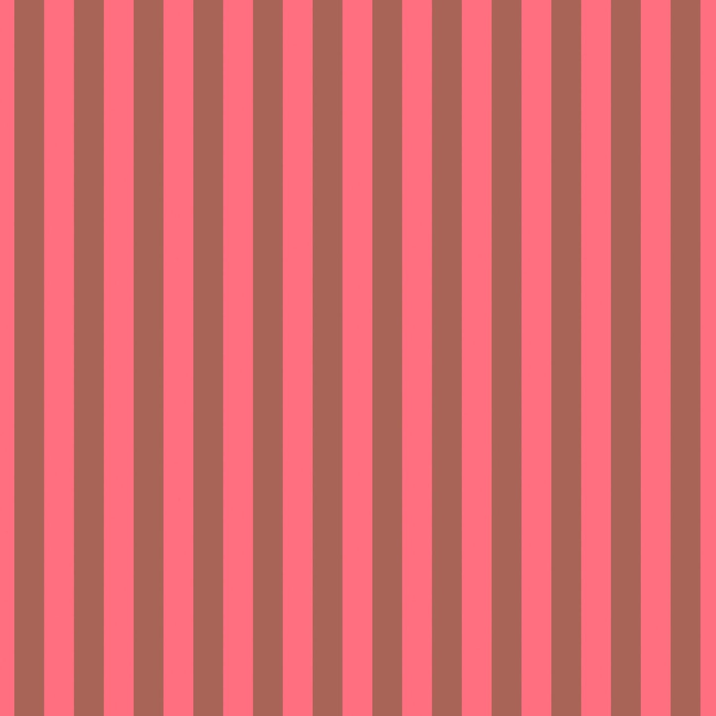 True Colors Neon - Tent Stripe - Nova