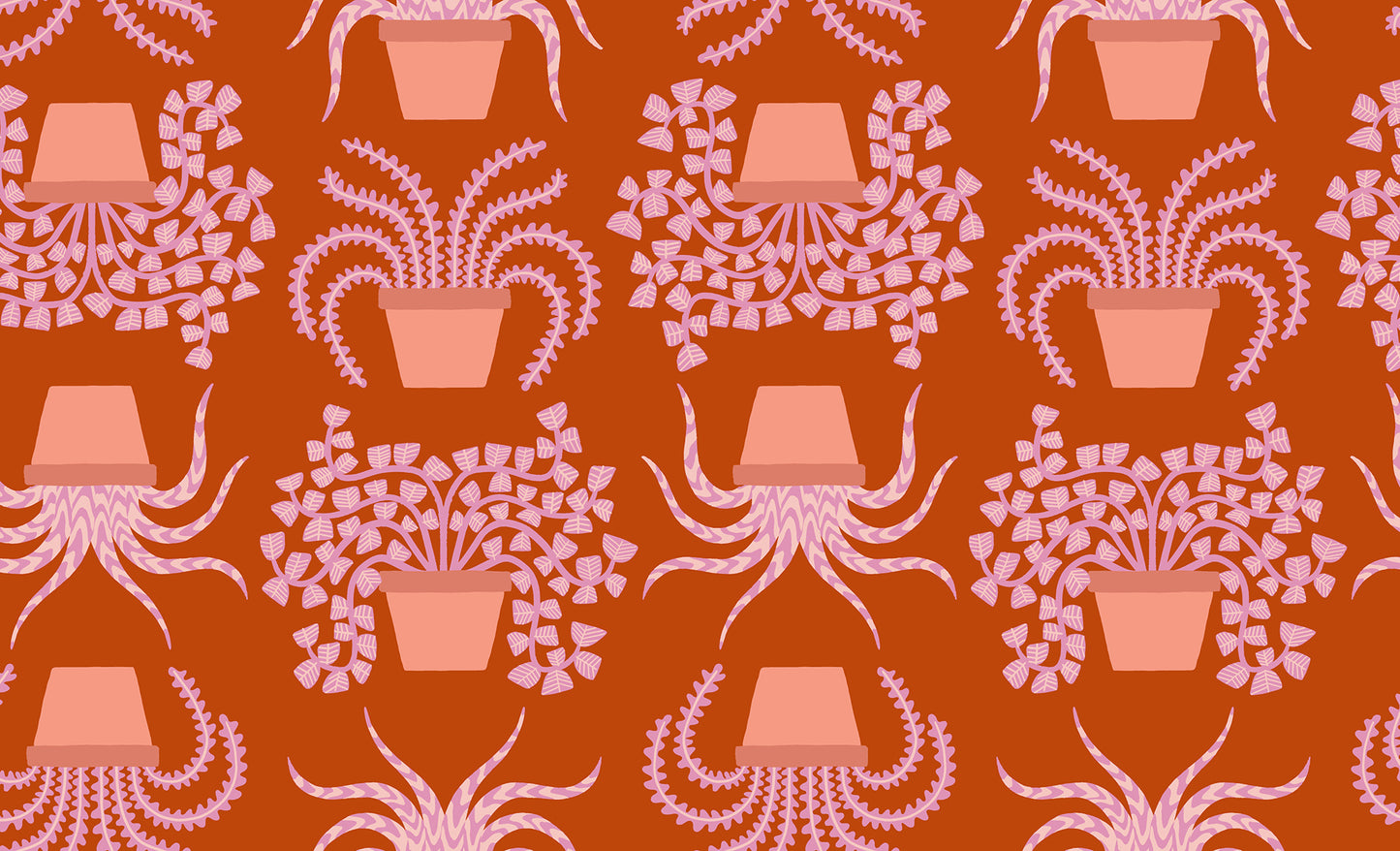 Calathea - Planties - Cayenne