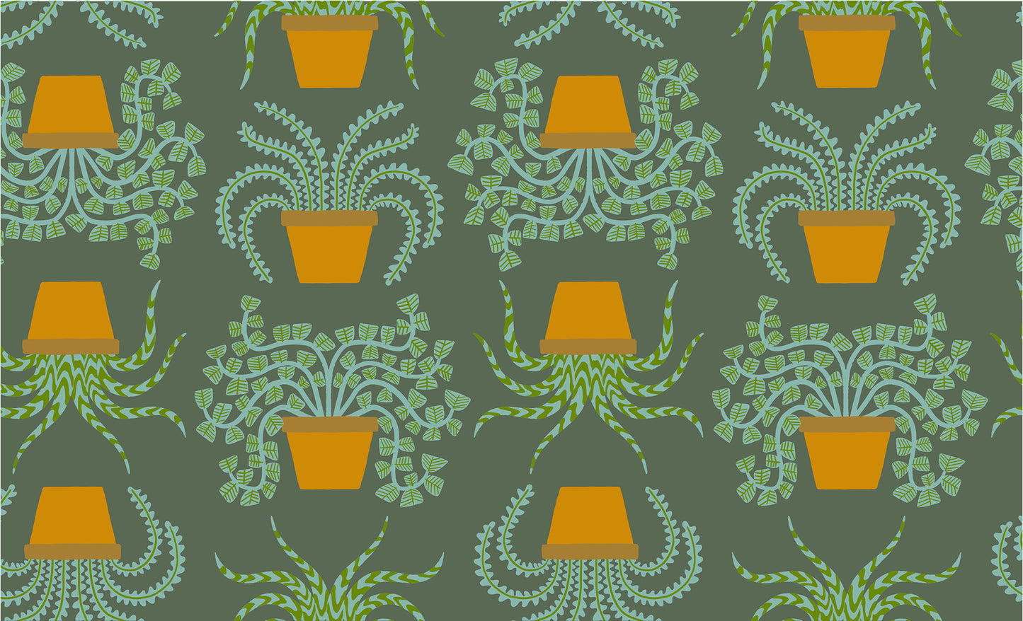 Calathea - Planties - Seaweed