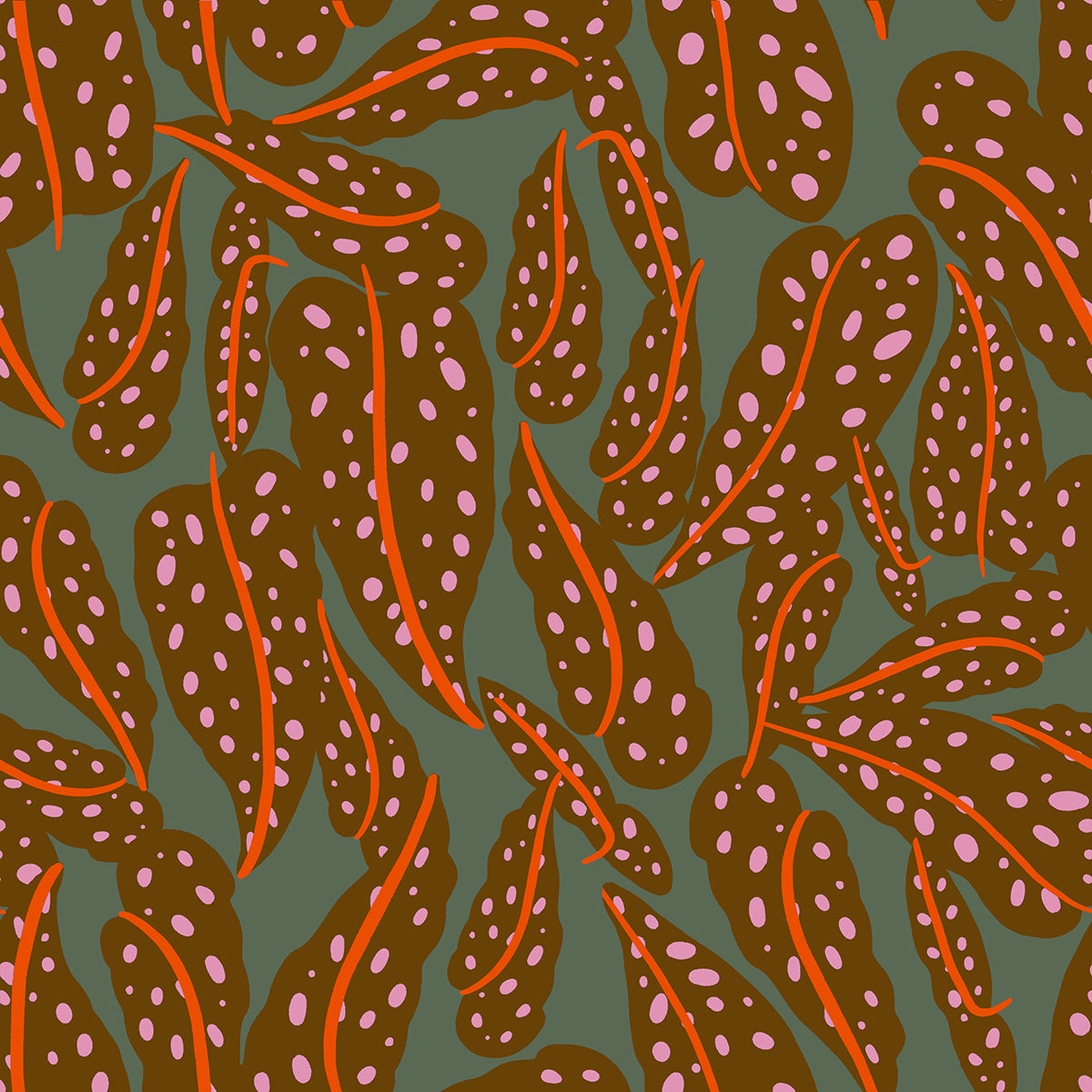 Calathea - Overlapping Leaves - Cocoa