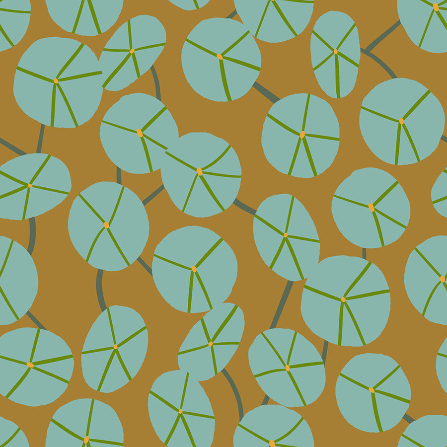 Calathea - Pilea - Suede