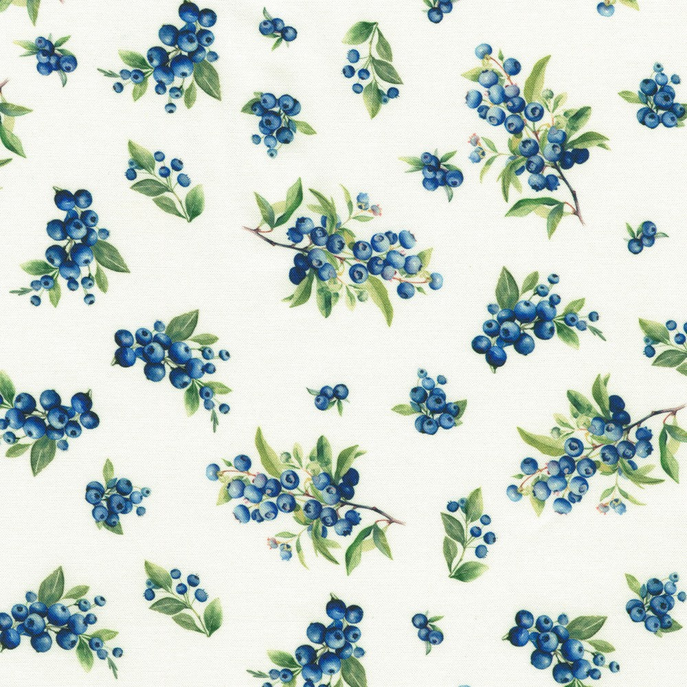 Blueberry Brunch - White