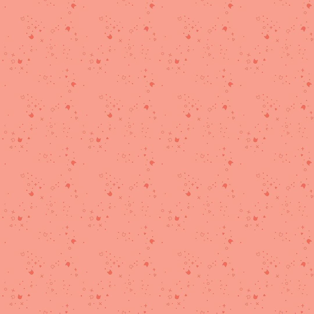 Kitty Litter - Salmon