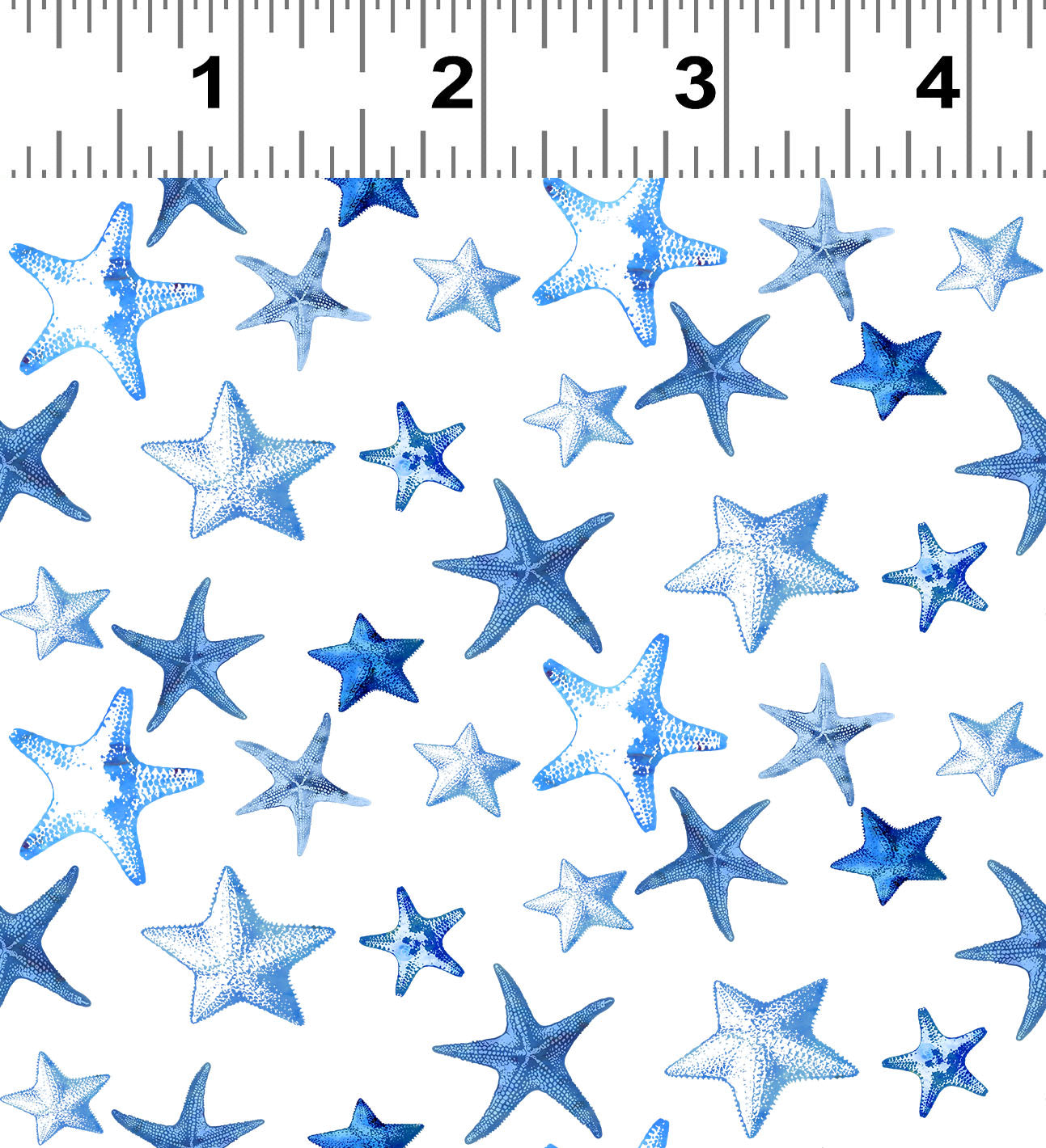 Pre-Order - WWSH 2026 - Starfish