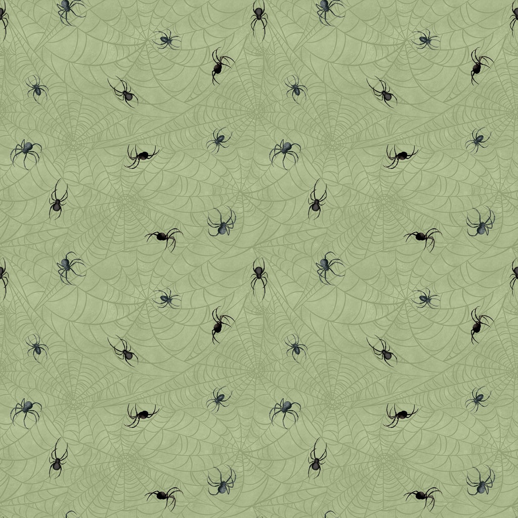 Dark Academia - Spiders - Sage