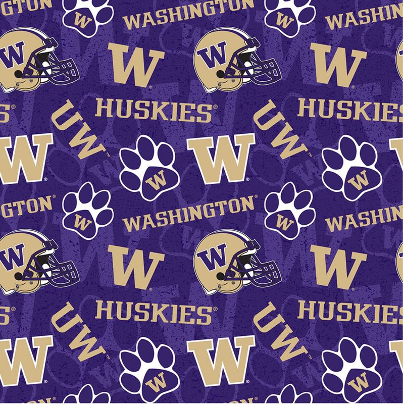 Washington Huskies
