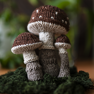 Wee Mushroom Trio Kit