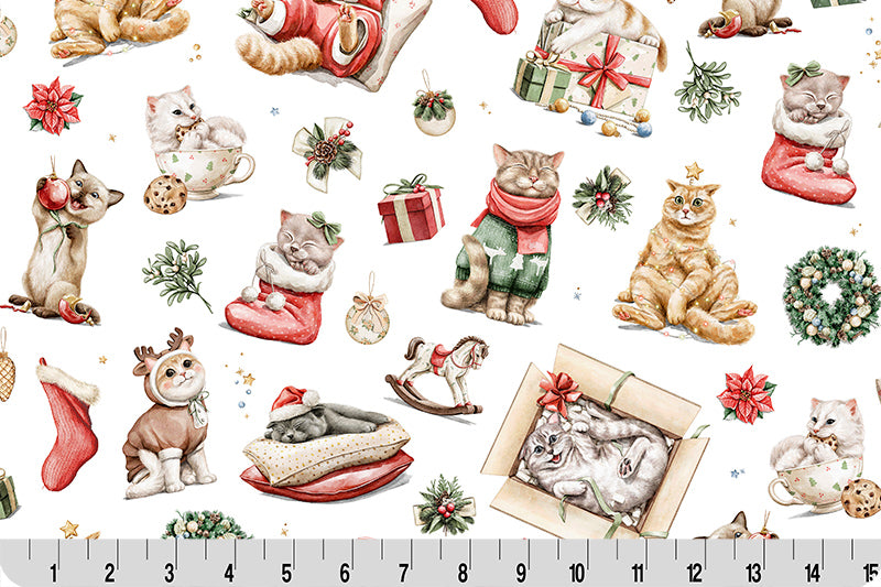 Cuddle - Jingle Paws