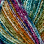 Encore Colorspun - Spectrum