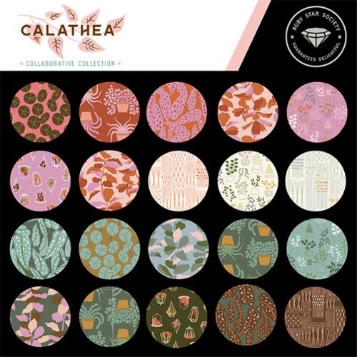 Calathea