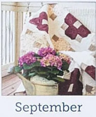 Stitch by Stitch with Terri: A Year of Quilts