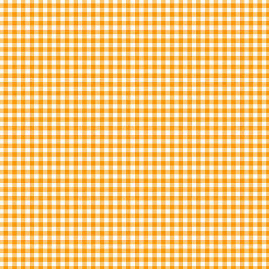 Ghostly Garden - Bitty Gingham - Orange