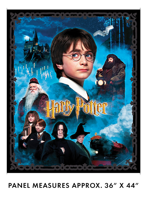 Harry Potter - Panel