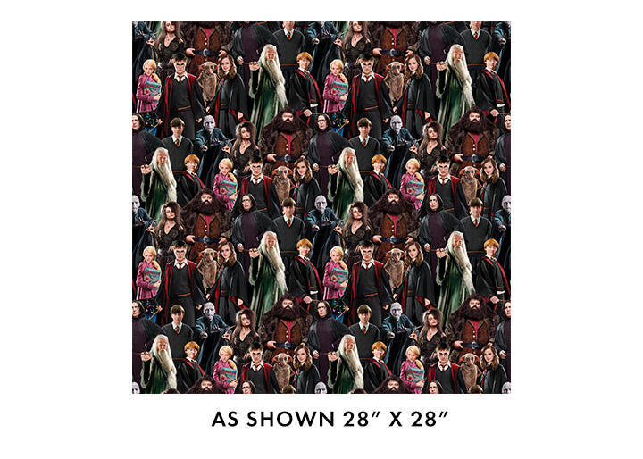 108" Harry Potter - Characters - Multi