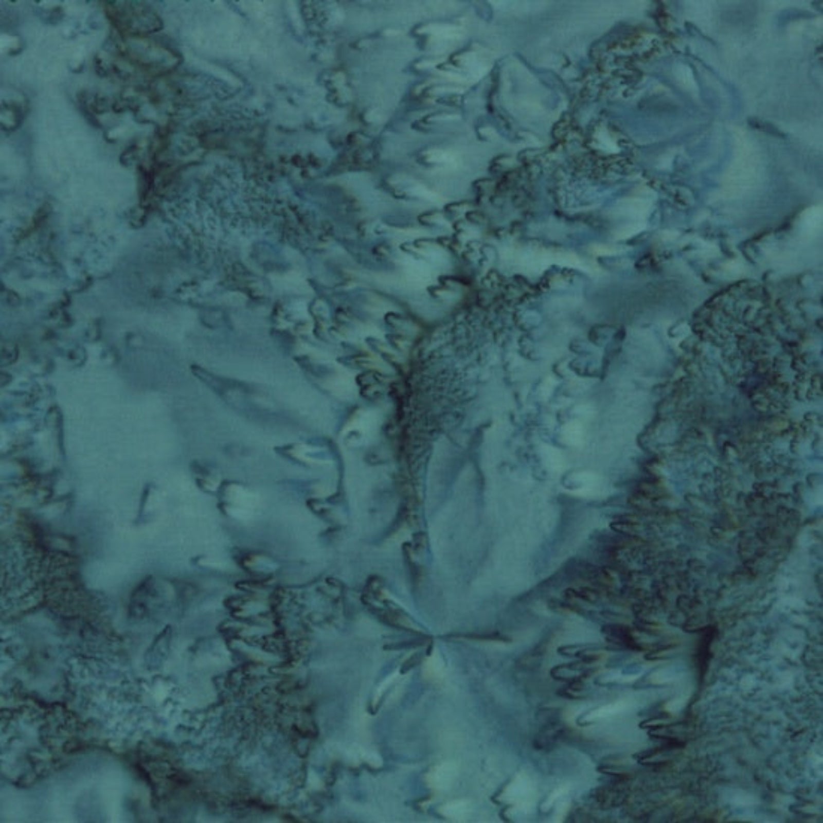 Close-up of a textured surface with intricate patterns