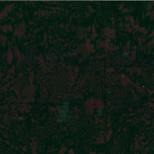 Bali Watercolors - Bear