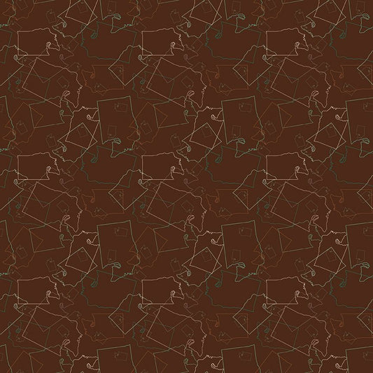 2025 APNSH - State Outline - Brown