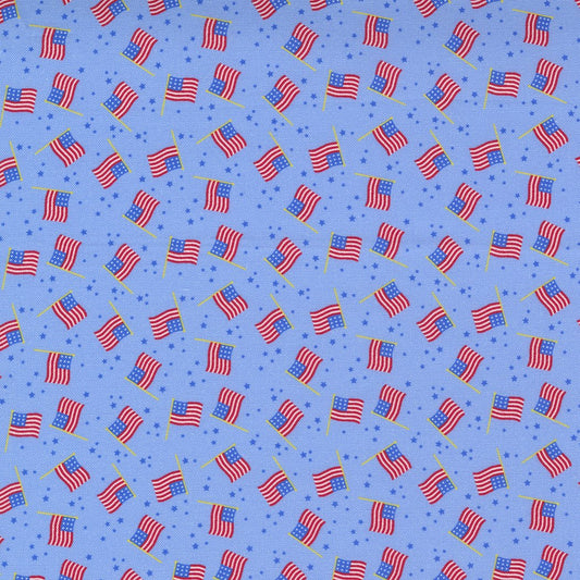 Americana - USA Flag - Sky Blue