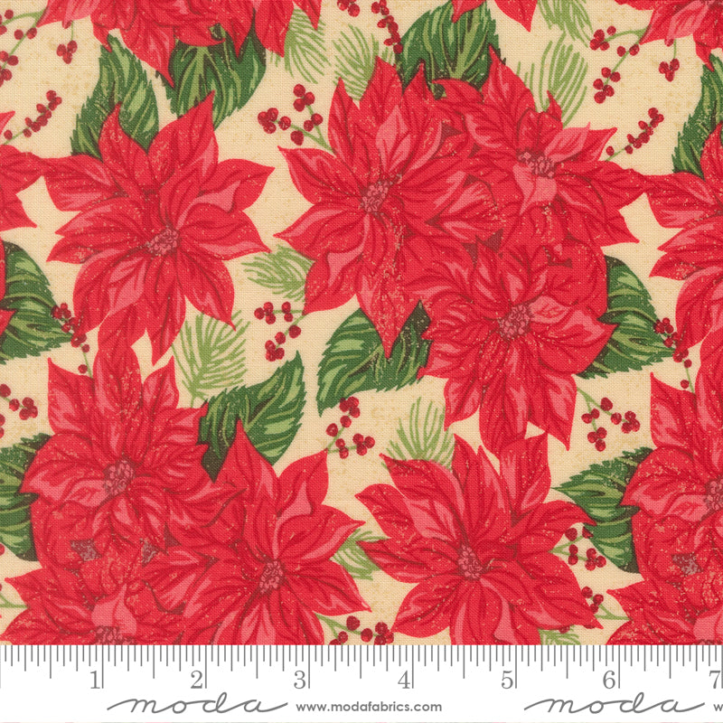 Red poinsettia flowers with green leaves and berries on a beige background, featuring a ruler for scale