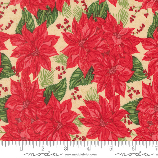 Red poinsettia flowers with green leaves and berries on a beige background, featuring a ruler for scale