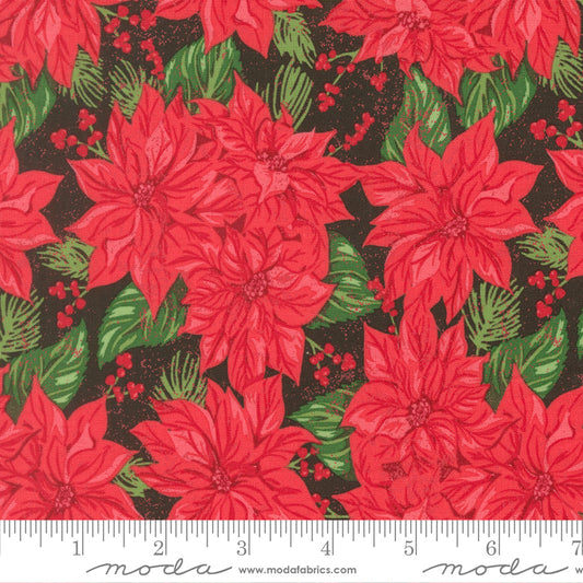 Red poinsettia flowers with green leaves on a black background, featuring a ruler for scale.