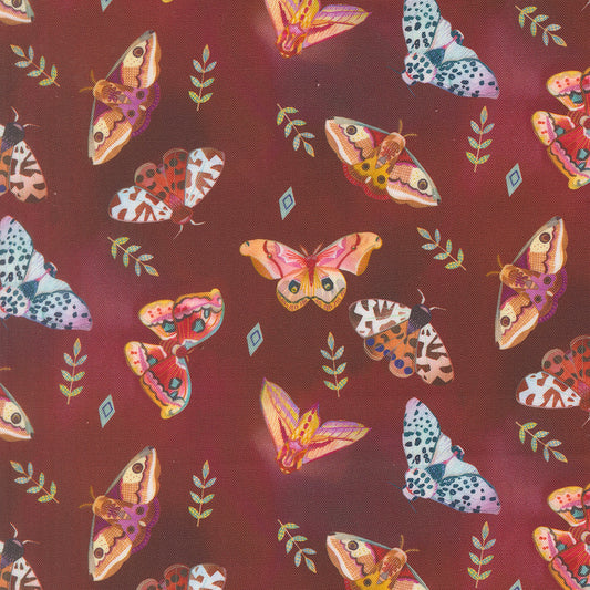 Northern Brights - Moth Array - Woodsy
