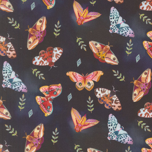 Northern Brights - Moth Array - Night Sky